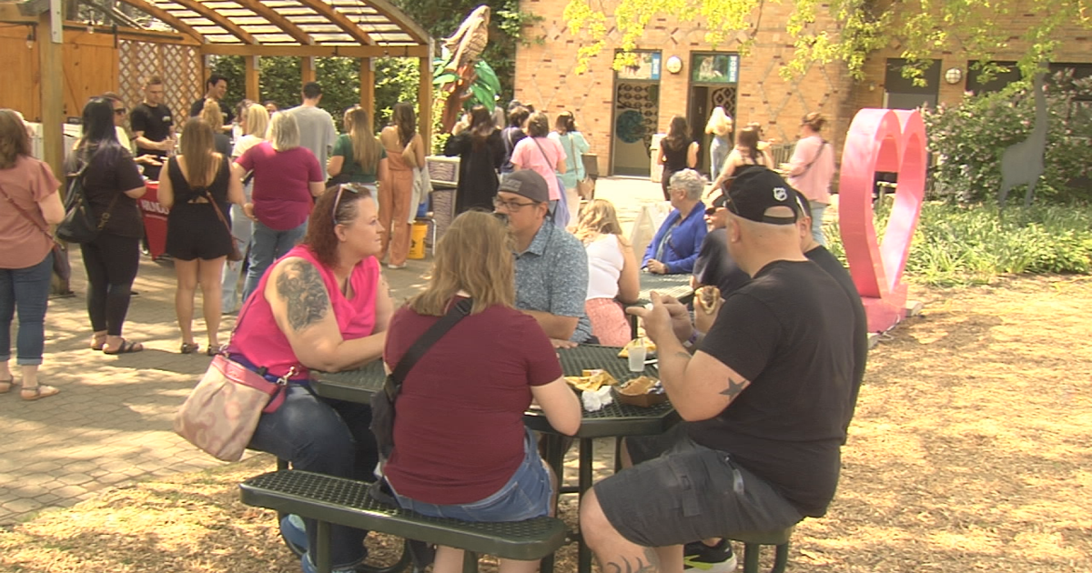 Felines and Wines Event Draw Crowd at Erie Zoo | Local News