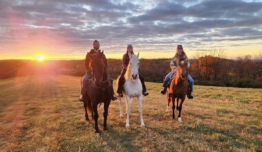 New business offers family-friendly horseback riding experiences on scenic Lehigh Valley trails | Eat, Sip, Shop