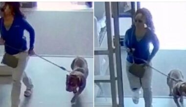 Pa. State Police investigating after dog bites shopper at PetSmart in Lower Macungie Twp. | Western Lehigh County