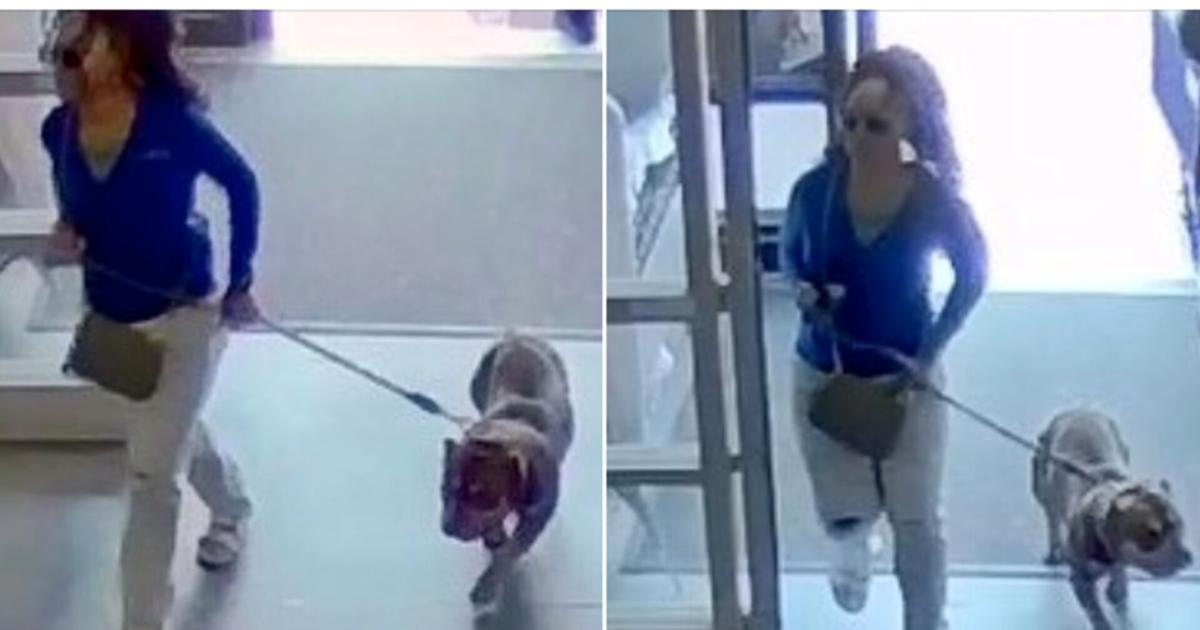 Pa. State Police investigating after dog bites shopper at PetSmart in Lower Macungie Twp. | Western Lehigh County