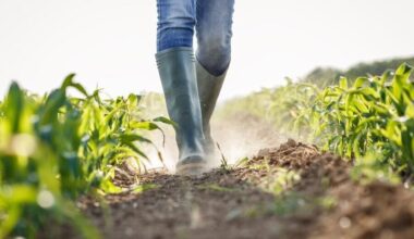 Pennsylvania Farms Lose $60.4M per Year to Natural Disasters | State