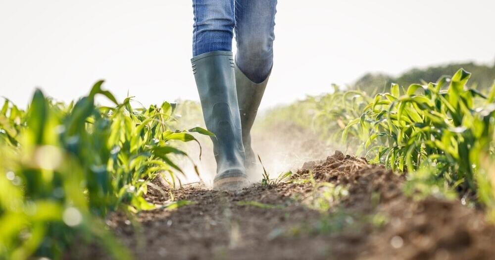 Pennsylvania Farms Lose $60.4M per Year to Natural Disasters | State