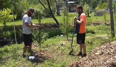Easton Urban Conservation is planting 100 trees along Spring Creek | Easton Area