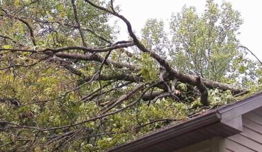Storm damage reported across Berks County after round of severe weather | Reading Area
