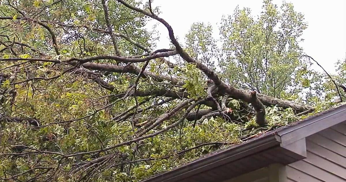 Storm damage reported across Berks County after round of severe weather | Reading Area