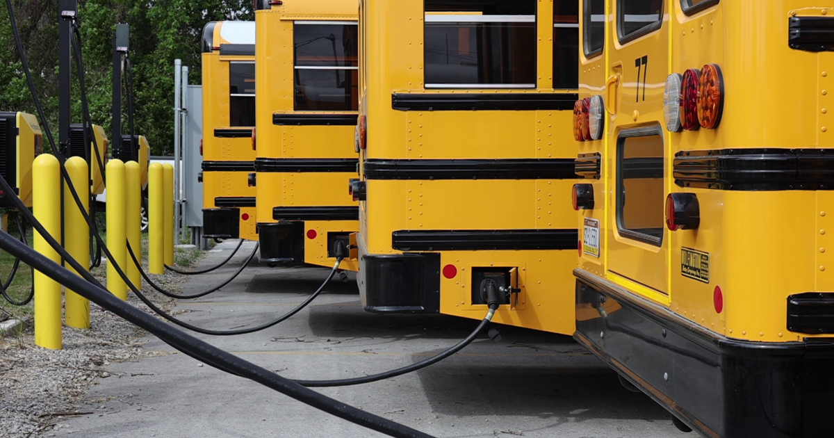 Erie Public Schools Debut First Electric Bus Fleet | News