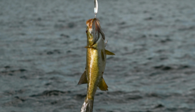 Erie Man Takes Home $200K in Florida Fishing Tournament | News