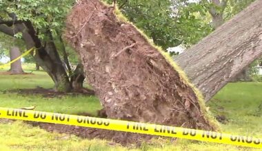 Cleanup continues following round of rough storms | Berks Regional News