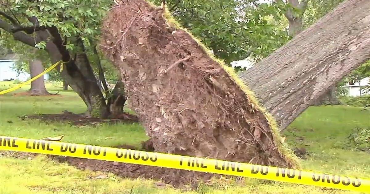 Cleanup continues following round of rough storms | Berks Regional News