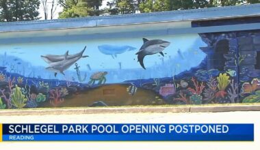 Schlegel Park Pool opening postponed due to forecast | Berks Regional News