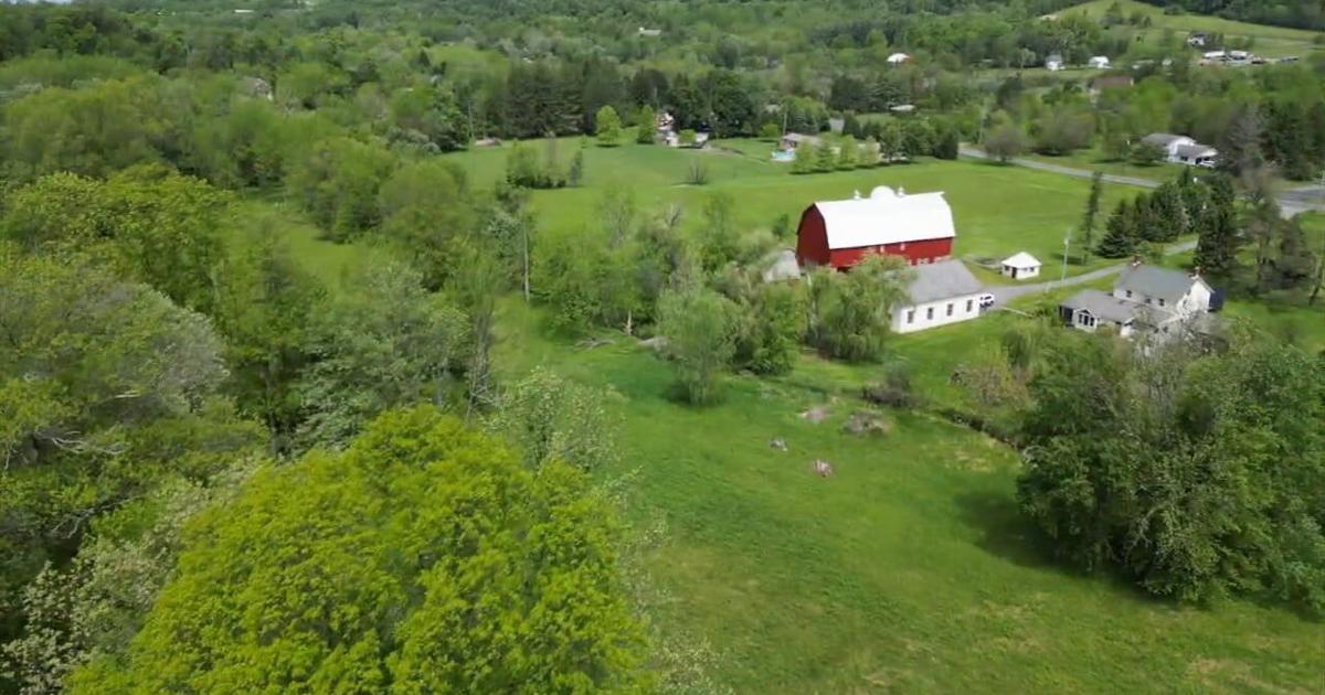 American Forest Foundation program pays Lehigh Valley landowners to protect trees | Carbon County Area