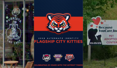 Four Flagship City Kitties Games to Feature Real Kittens | News