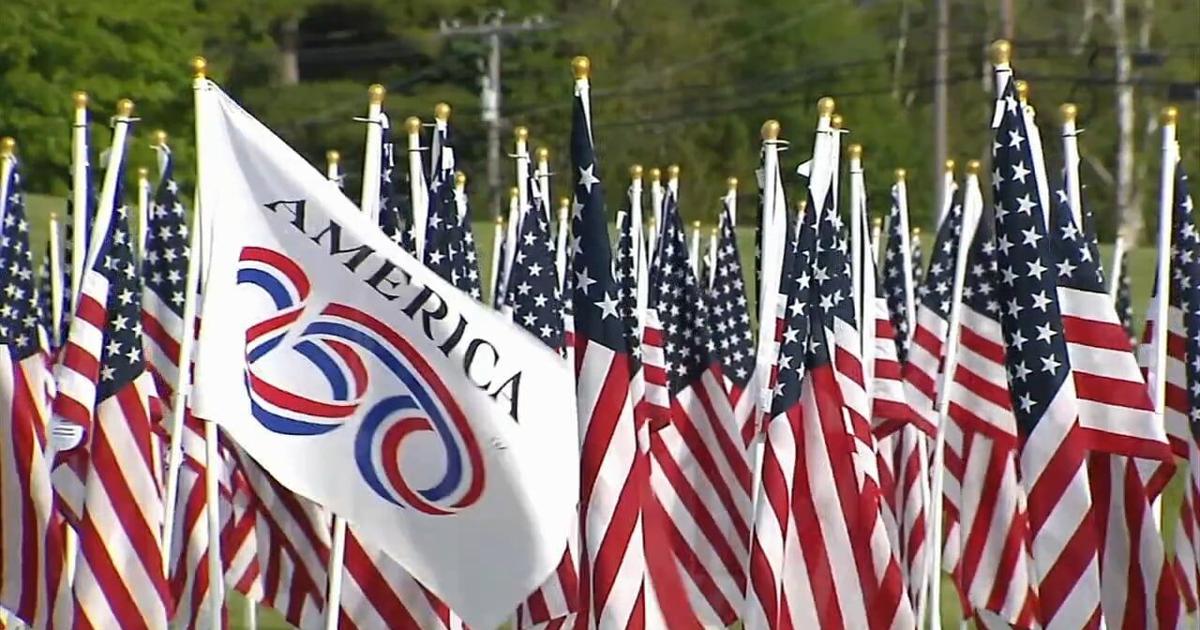 Flags for Unity plants 500 flags to honor fallen service members | Allentown Area