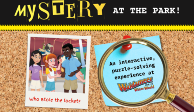 Mystery at the Park Brings Puzzle Fun to Waldameer | News
