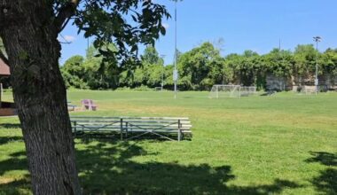 Wyomissing to host World Cup match watch party | Berks Regional News