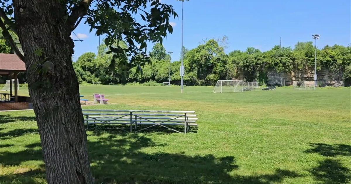 Wyomissing to host World Cup match watch party | Berks Regional News