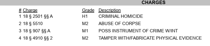 <em>Screenshot of the docket stating criminal charges that were filed</em>