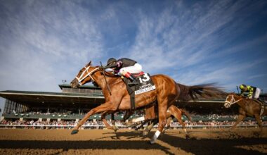 Kappa Kappa Named 2025 Pennsylvania-Bred Horse Of The Year