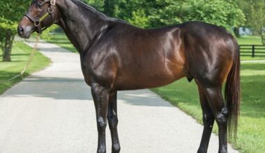 Equistar to Purchase Leading PA Sire Cloud Computing