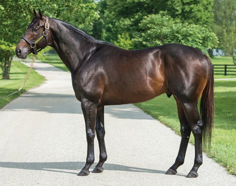 Equistar to Purchase Leading PA Sire Cloud Computing