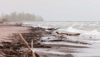 Father, 53, and 7-Year-Old Son Found Dead in Lake Erie After Outing in Canoe