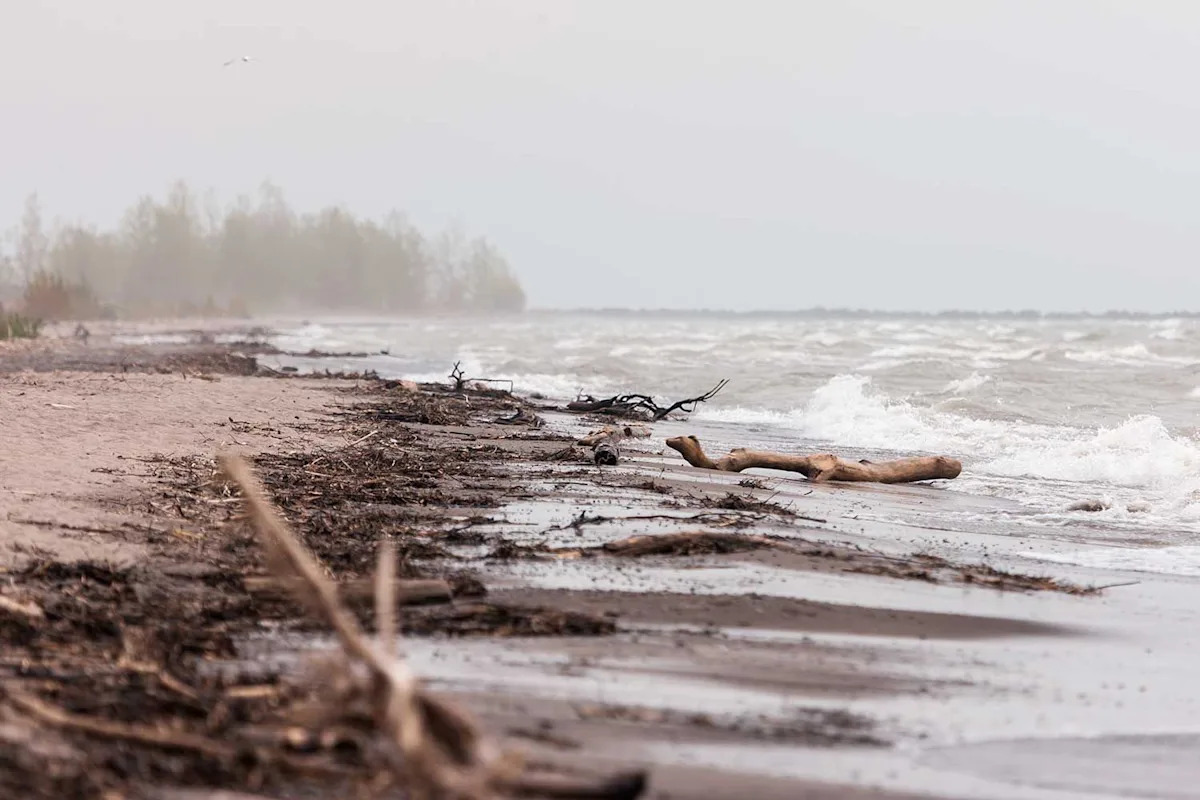 Father, 53, and 7-Year-Old Son Found Dead in Lake Erie After Outing in Canoe