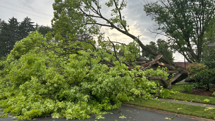 Photos capture storm damage across south-central Pennsylvania