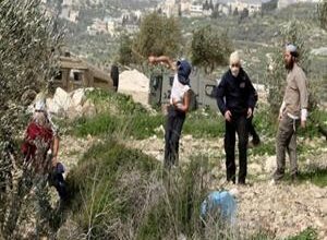 Israeli colonists attack Palestinian homes with stones southeast of Bethlehem