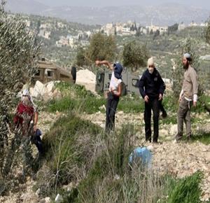 Israeli colonists attack Palestinian homes with stones southeast of Bethlehem