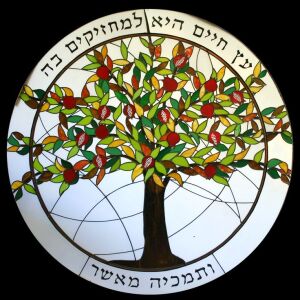 Logo Icon