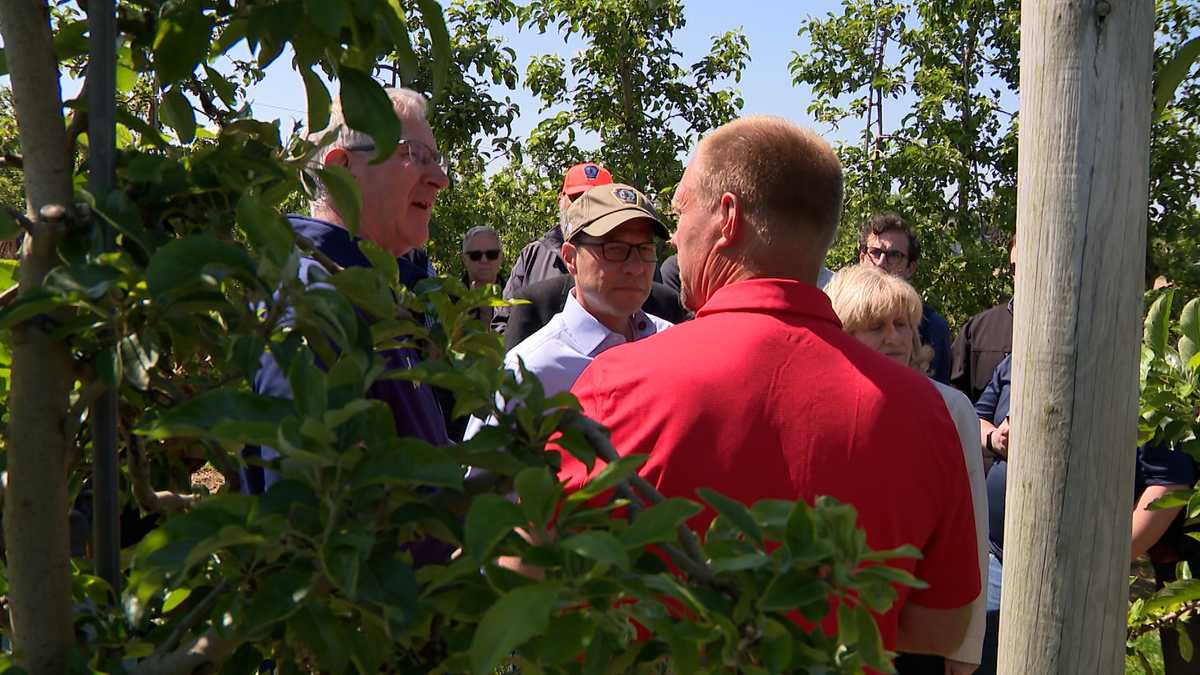 Gov. Shapiro pushes for federal aid as fruit farmers face $200M in losses