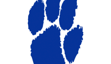 Softball Recap: Taylor Takes Down Scranton in a Playoff Battle