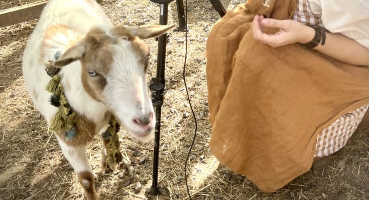 Goats, Art, and Cocktails Collide at Surreal Philadelphia Fundraiser