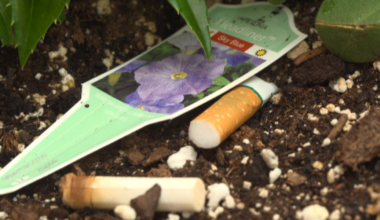 Knoxville City Council approves first reading of proposed smoking ban in age-restricted venues
