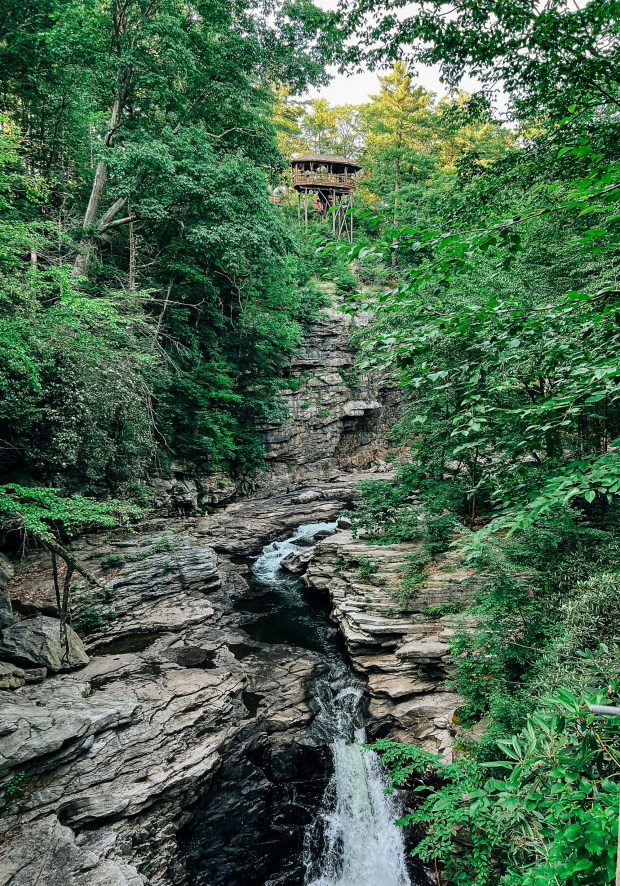 Nay Aug Park Gorge and Treehouse in Scranton.
