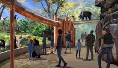 Philadelphia Zoo to reopen bear exhibit in June