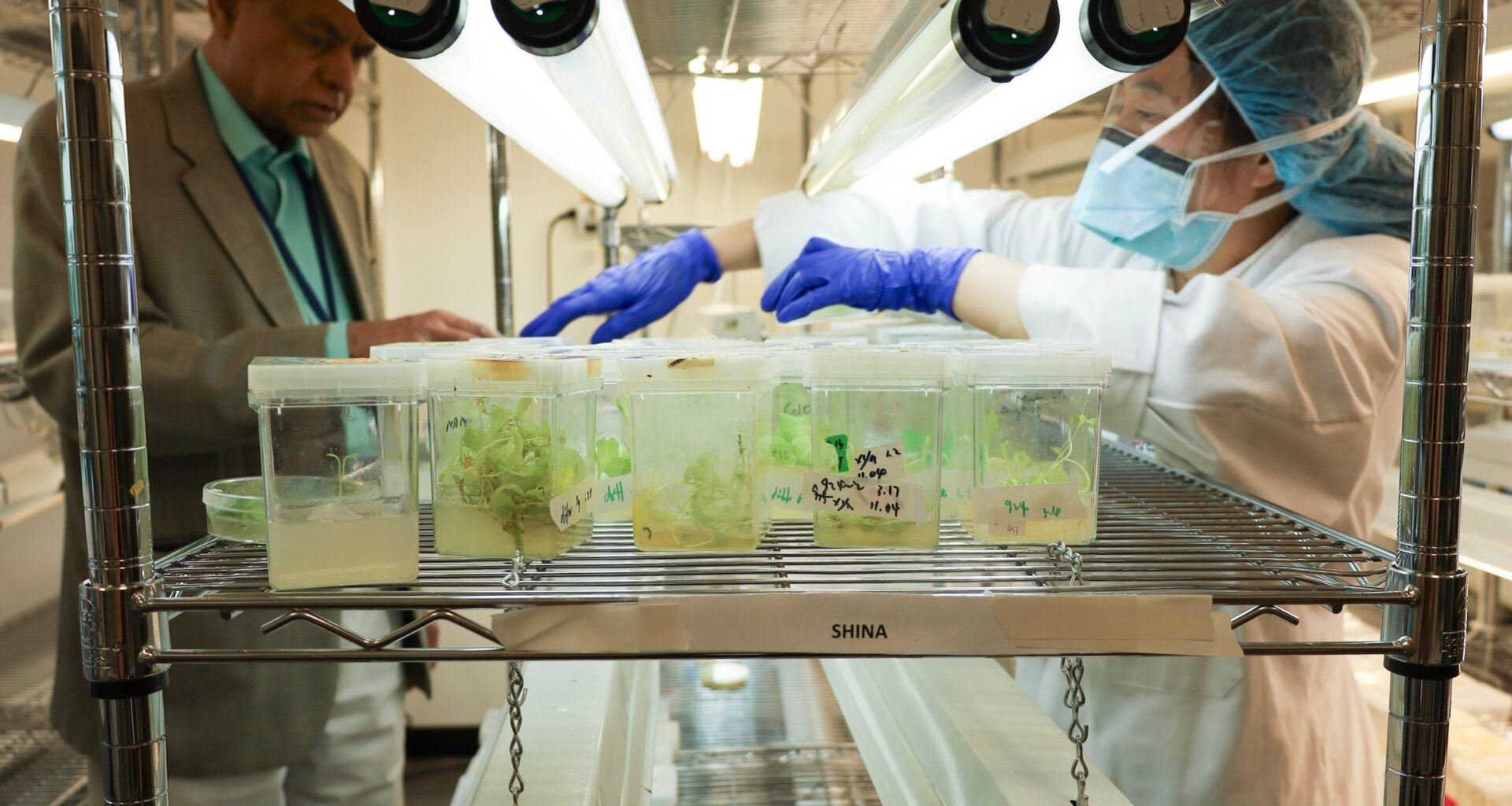 Penn dentists bioengineer chewing gum for oral cancer
