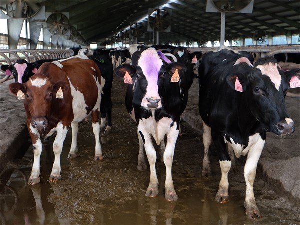 Activist wants more attention paid to use of manure