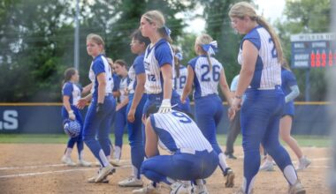 DISTRICT 2-4 SOFTBALL: West Scranton drops Class 6A final to Williamsport – Scranton Times-Tribune