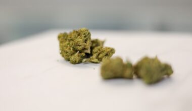 Berks DA: Keep hemp loophole closed [opinion]