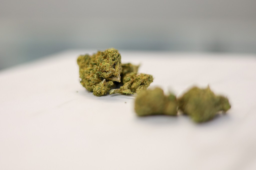 Berks DA: Keep hemp loophole closed [opinion]