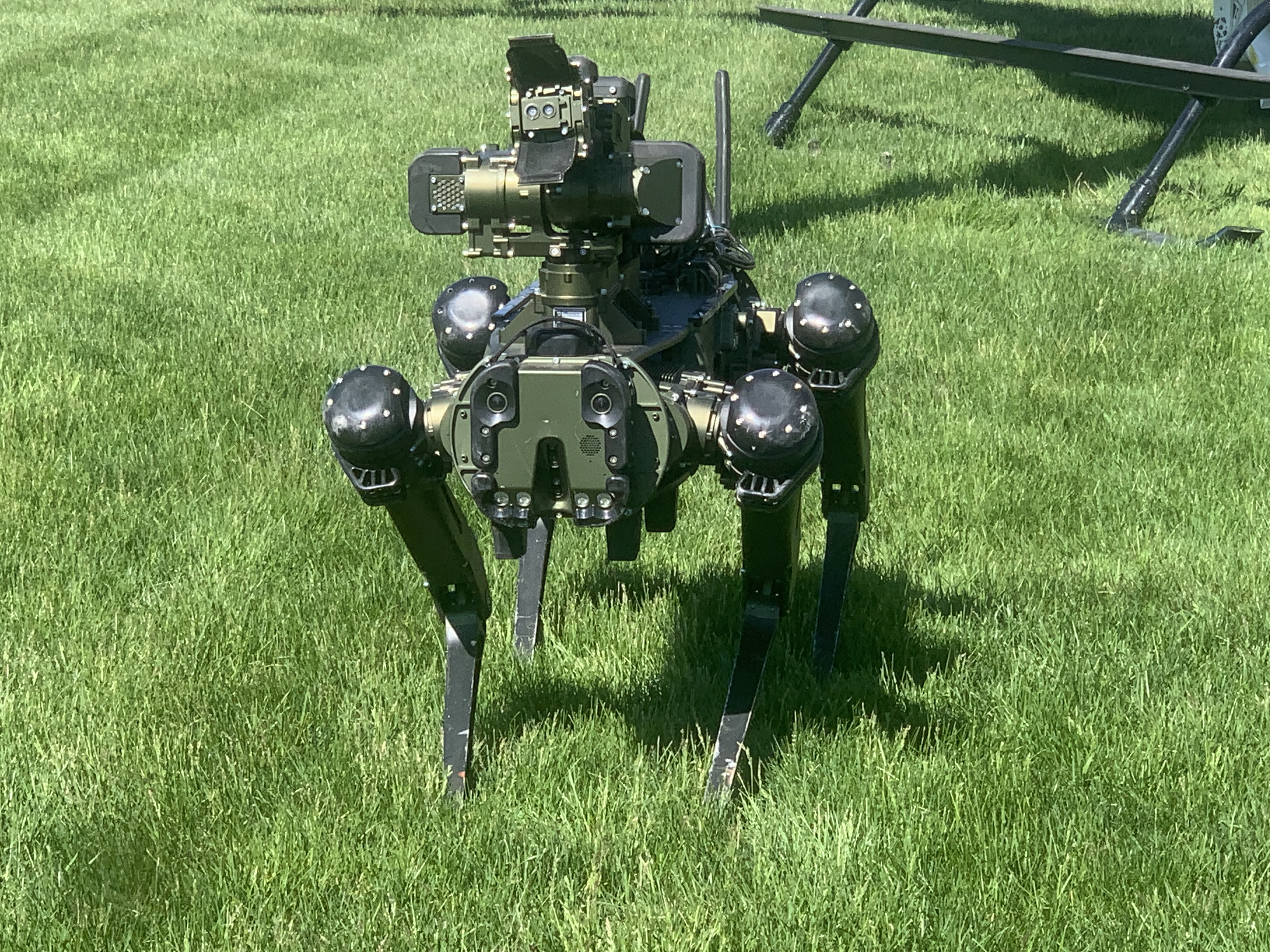A police robot resembling a mechanical dog at a ceremony...