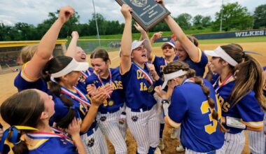DISTRICT 2 SOFTBALL: Call leads Valley View to fourth-straight 4A crown – Scranton Times-Tribune
