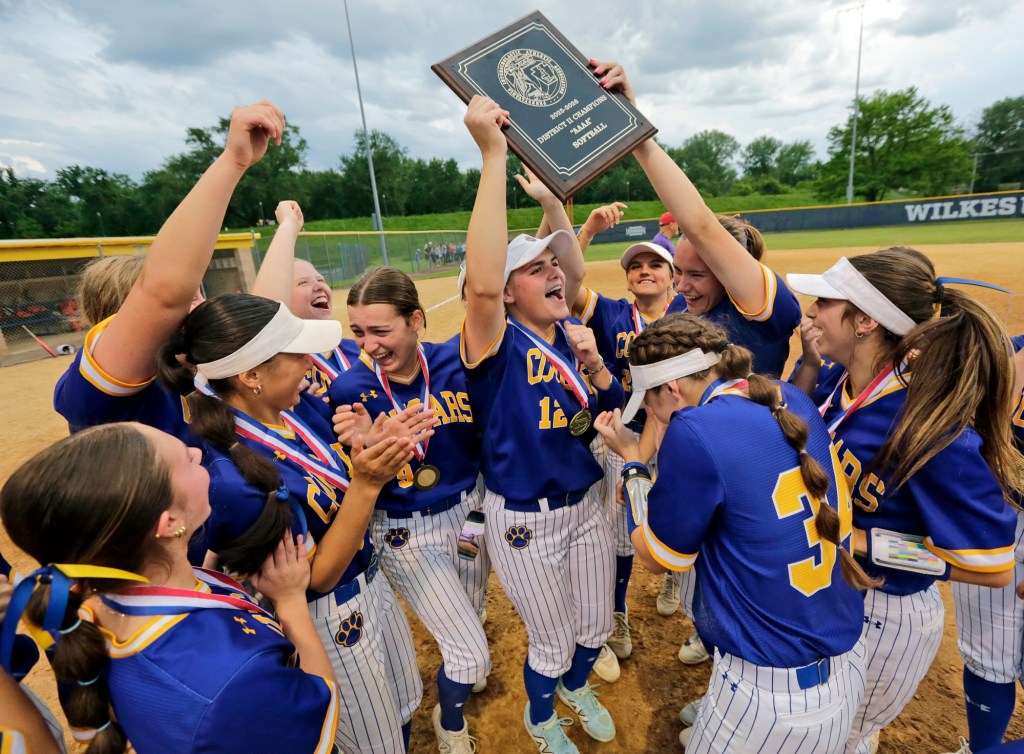 DISTRICT 2 SOFTBALL: Call leads Valley View to fourth-straight 4A crown – Scranton Times-Tribune