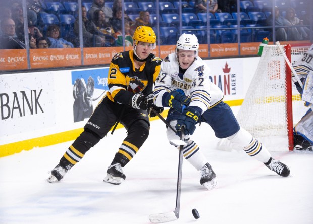 Wilkes-Barre/Scranton's Rutger McGroarty (COURTESY OF WBS PENGUINS