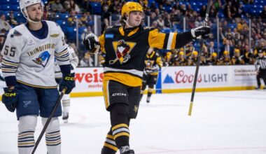 Penguins, Thunderbirds set for Atlantic Division Finals battle – Wilkes-Barre Citizens' Voice