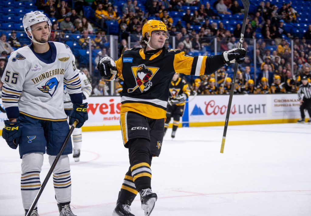 Penguins, Thunderbirds set for Atlantic Division Finals battle – Wilkes-Barre Citizens' Voice