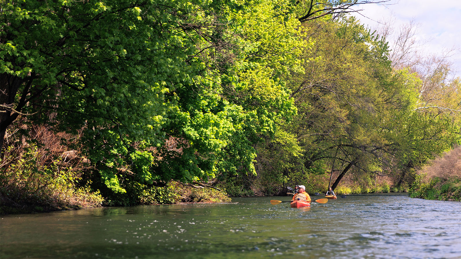 Picture This: Riverfest on the Lackawanna River