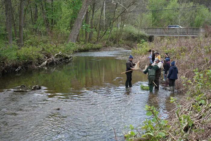 A group of people stand along a stream with nets.