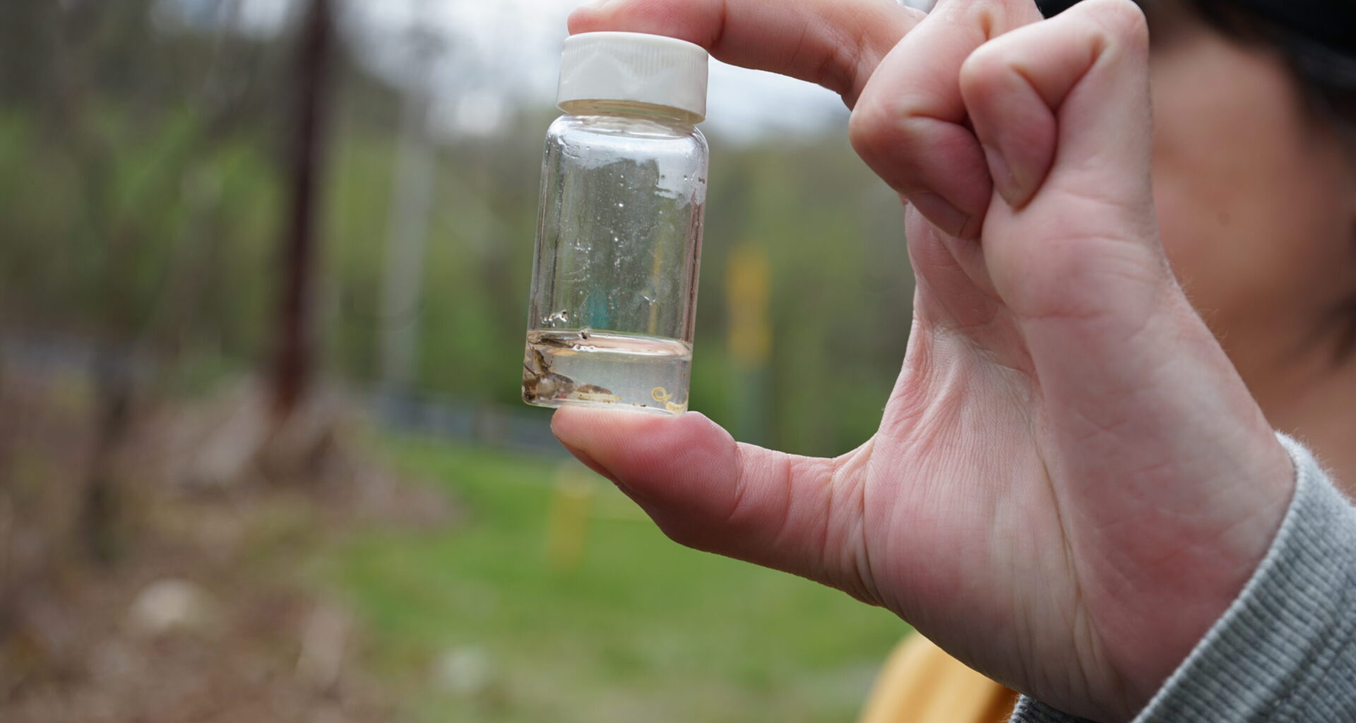 Scientists test aquatic organisms for PFAS in Montour Run near Pittsburgh International Airport